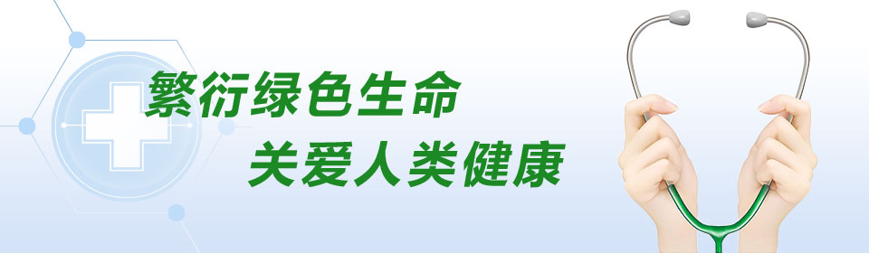 图片动画